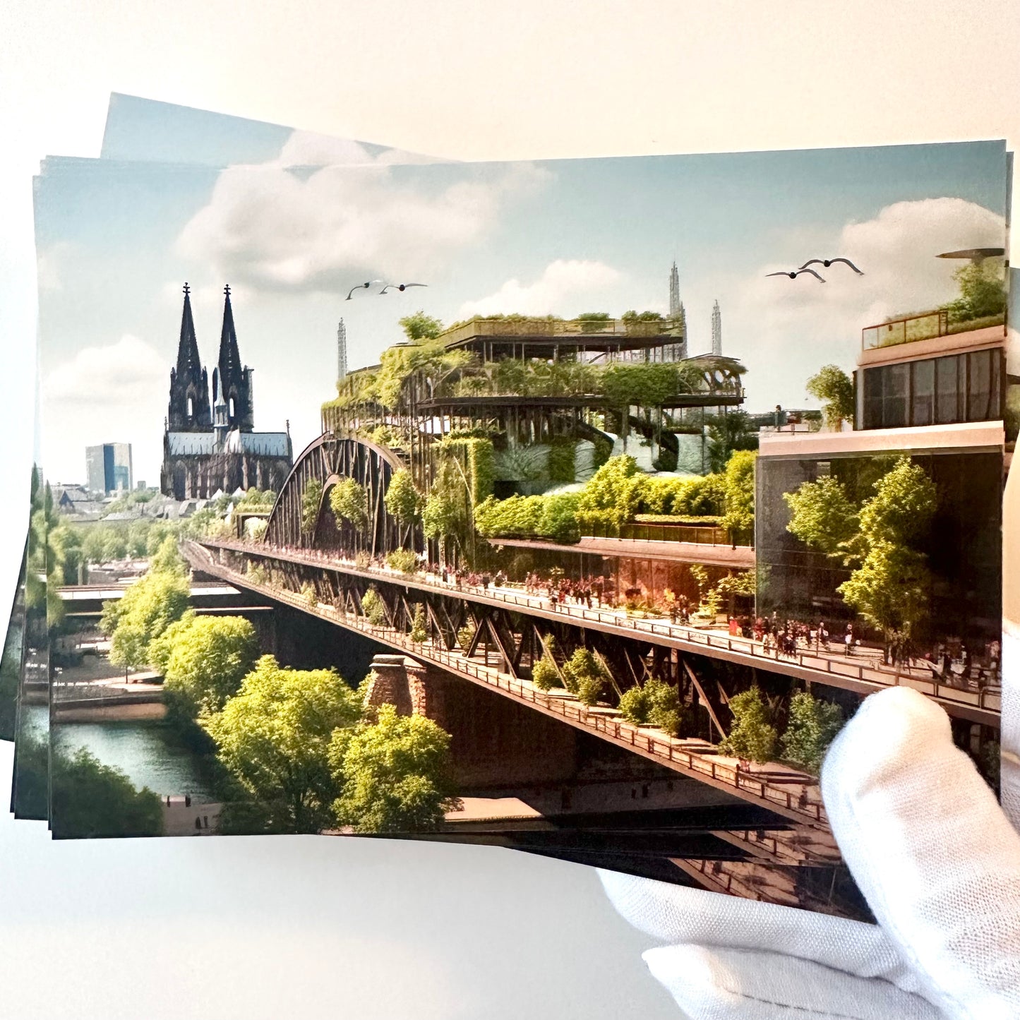 5 Köln-Postkarten „Kölle in Grün“ (5 Stk.)