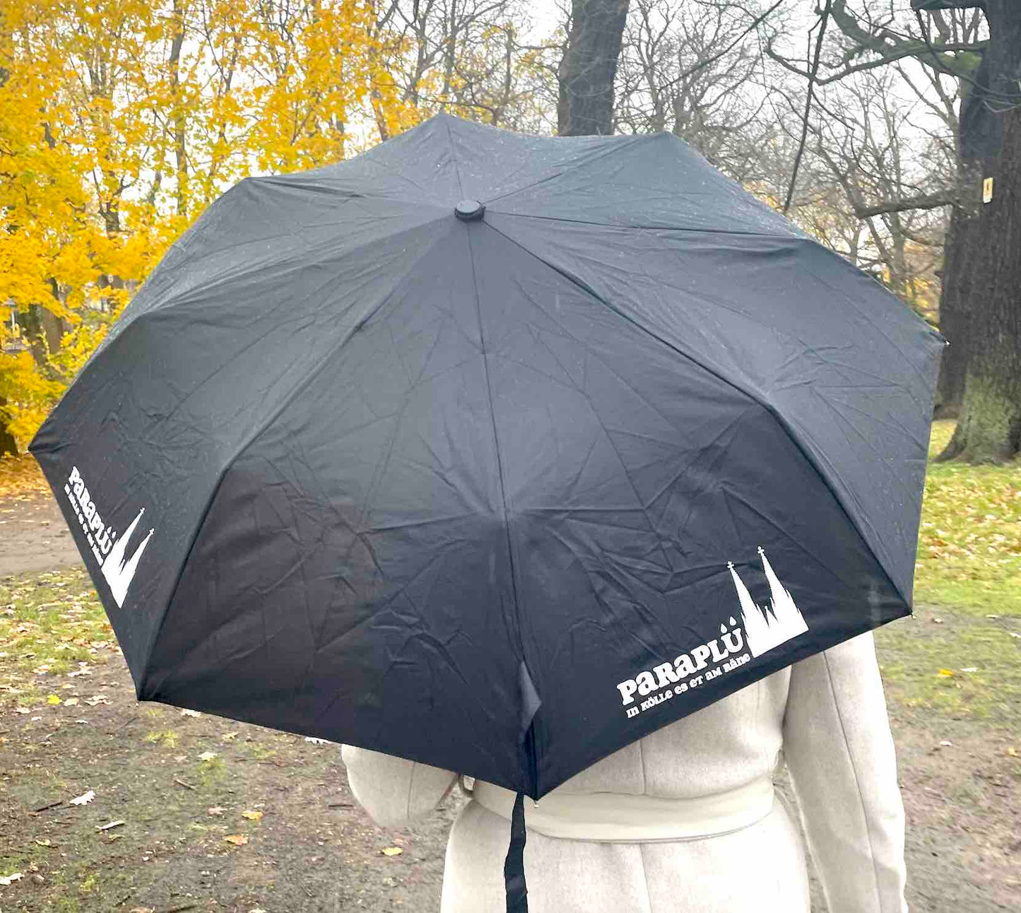 Qualitäts-Regenschirm „Paraplü“